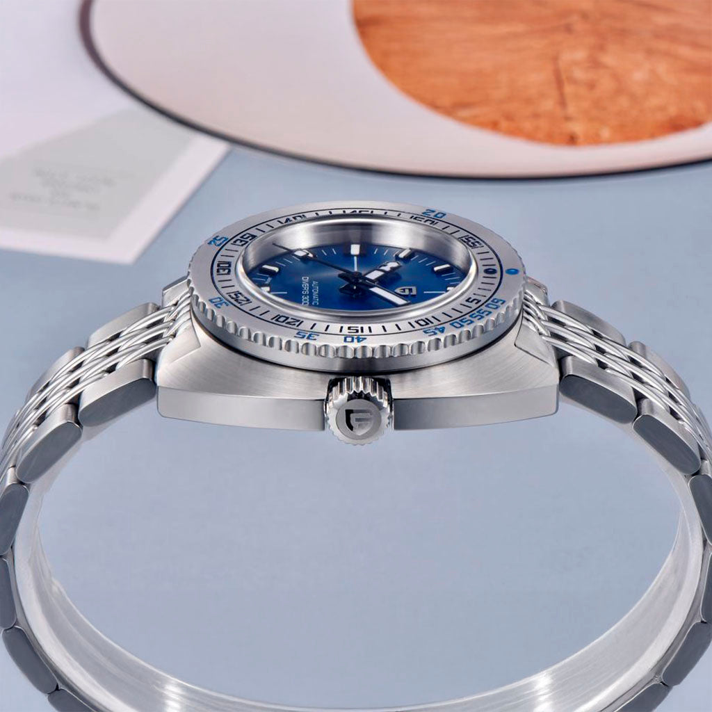 Design Turtle Xanh dương